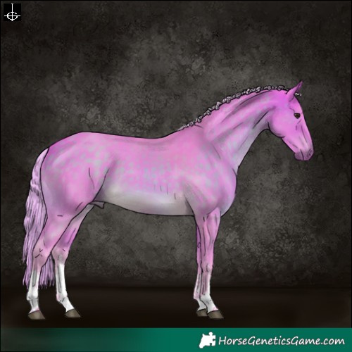Horse Color:Watercolor White Spotted Silver Buckskin 