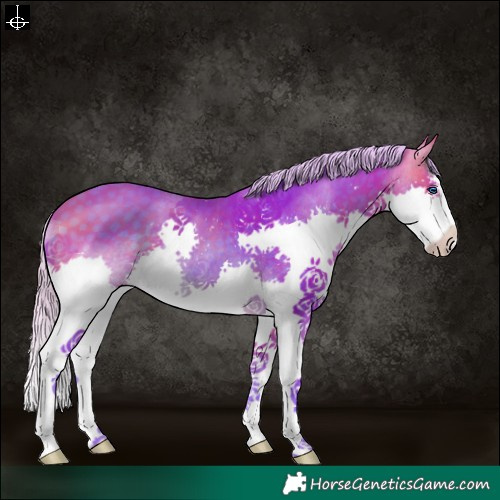 Horse Color:Watercolor White Spotted Silver Buckskin Splash 