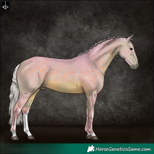 Horse Color:Watercolor White Spotted Silver Buckskin 