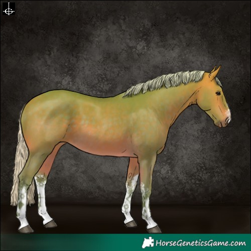 Horse Color:Watercolor White Spotted Silver Buckskin 