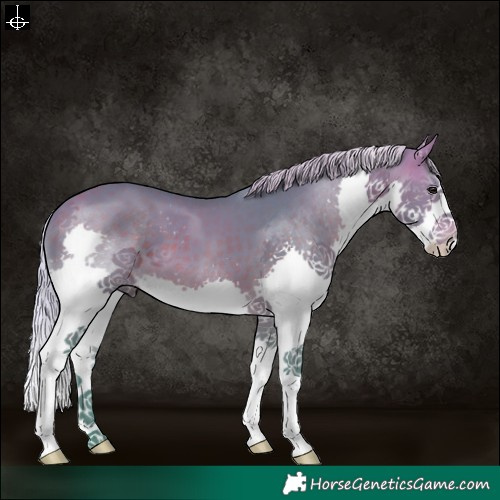 Horse Color:Watercolor Silver Brown Splash 