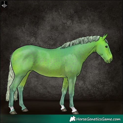 Horse Color:Watercolor Silver Buckskin 