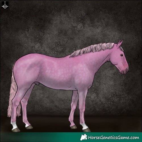 Horse Color:Watercolor Silver Buckskin Dun 