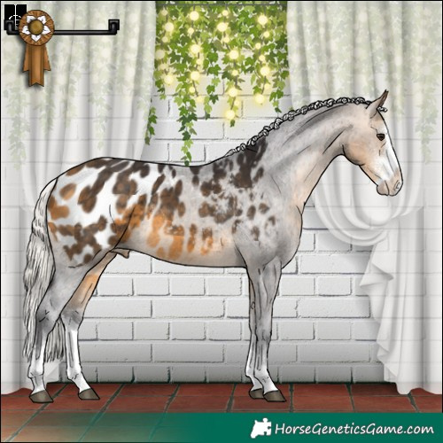 Horse Color:Silver Buckskin Sabino Splash Blanket Rabicano 