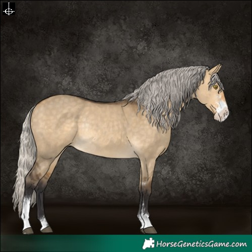 Horse Color:Silver Buckskin Dun Sabino Rabicano