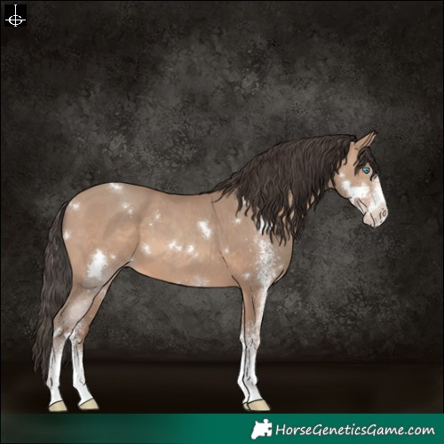 Horse Color:White Spotted Sable Champagne 
