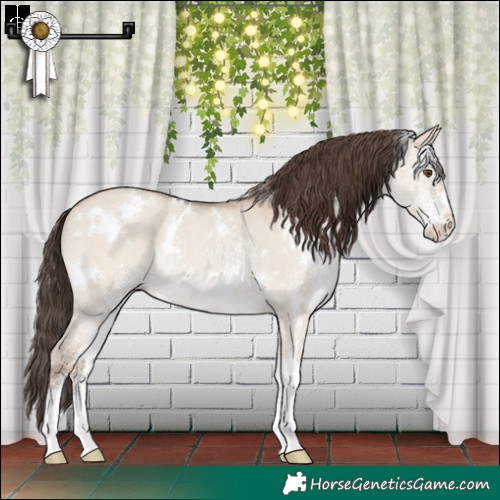 Horse Color:White Spotted Classic Champagne Dun Rabicano