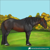 Horse Color:Brown 