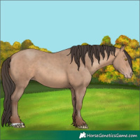 Horse Color:Sable Champagne