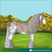 Horse Color:Silver Blue Roan Splash