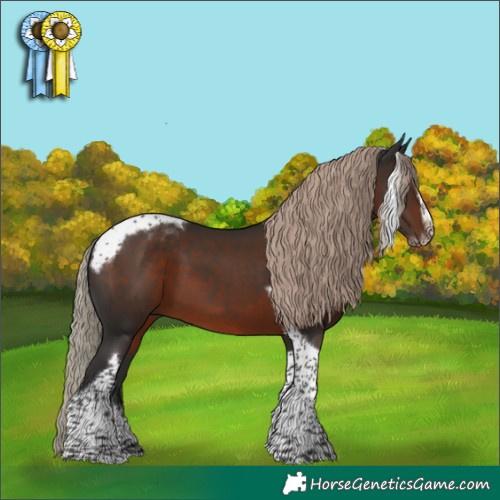 Horse Color:Liver Chestnut Splash Tobiano Frame 
