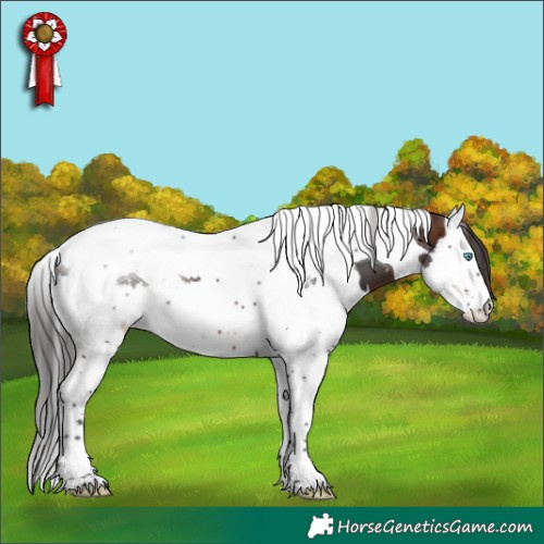 Horse Color:White Spotted Brown Splash Tobiano 