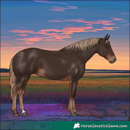 Horse Color:Liver Chestnut 
