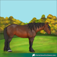 Horse Color:Brown 