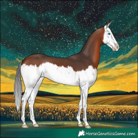 Horse Color:Bay Splash 