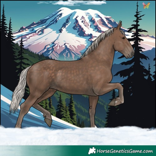 Horse Color:Silver Black 