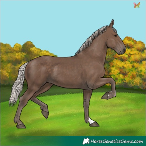 Horse Color:Silver Black 