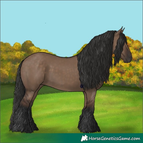 Horse Color:Liver Red Dun Rabicano 