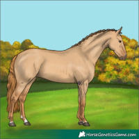 Horse Color:Red Dun 
