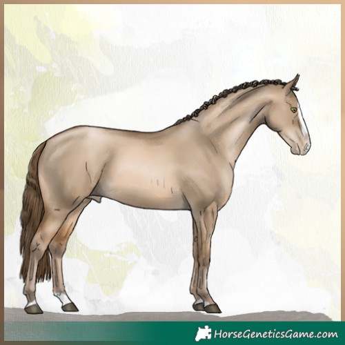 Horse Color:Bay Pearl Dun Splash 