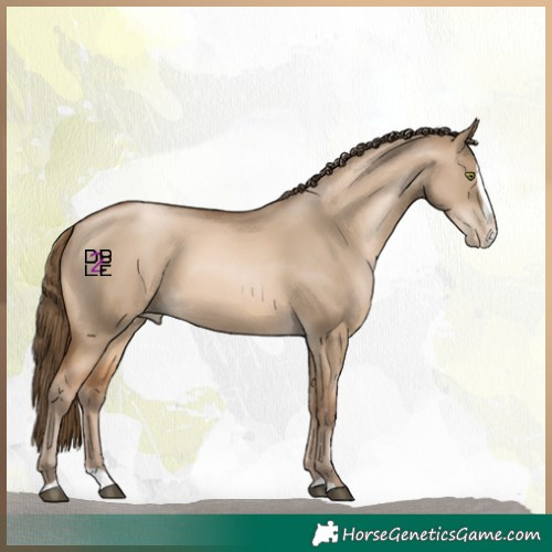 Horse Color:Bay Pearl Dun Splash 
