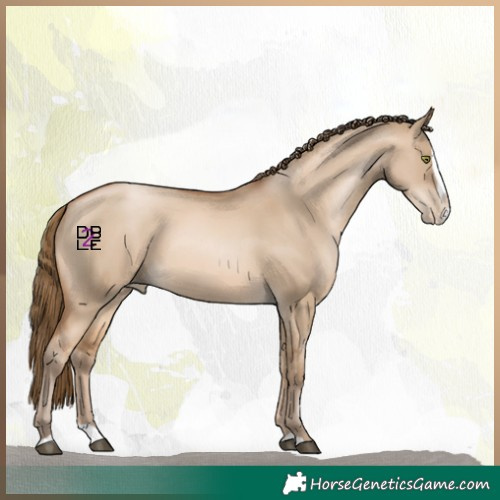 Horse Color:Bay Pearl Dun Splash 