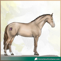Horse Color:Bay Pearl Dun Splash