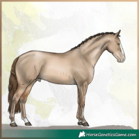 Horse Color:Bay Pearl Dun Splash 