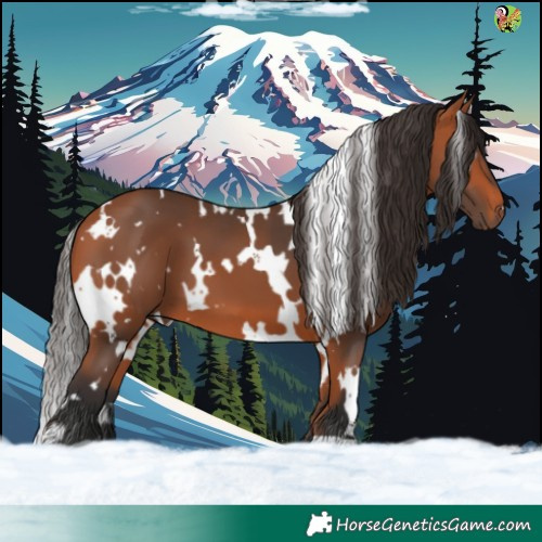 Horse Color:White Spotted Bay 