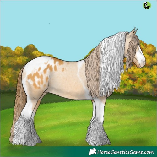 Horse Color:White Spotted Buckskin Dun Tobiano Appaloosa 