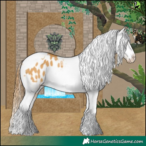 Horse Color:White Spotted Buckskin Dun Tobiano Varnish 