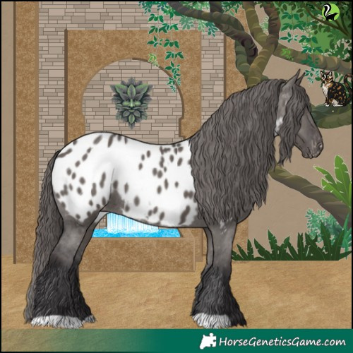 Horse Color:Smoky Grullo Near Leopard 