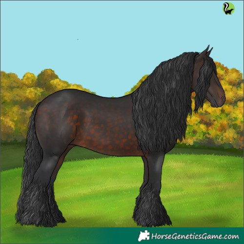 Horse Color:Brown 