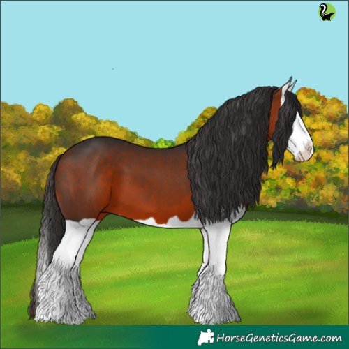 Horse Color:Brown Splash 