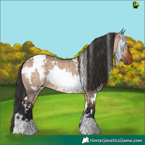 Horse Color:White Spotted Brown Dun 