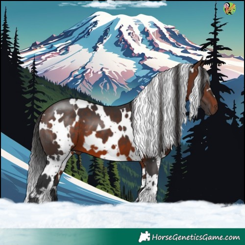 Horse Color:White Spotted Brown 