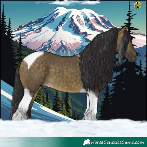 Horse Color:Buckskin Dun Tobiano 