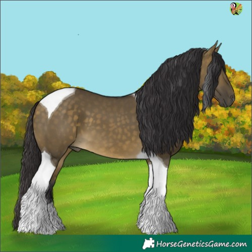 Horse Color:Buckskin Dun Tobiano 