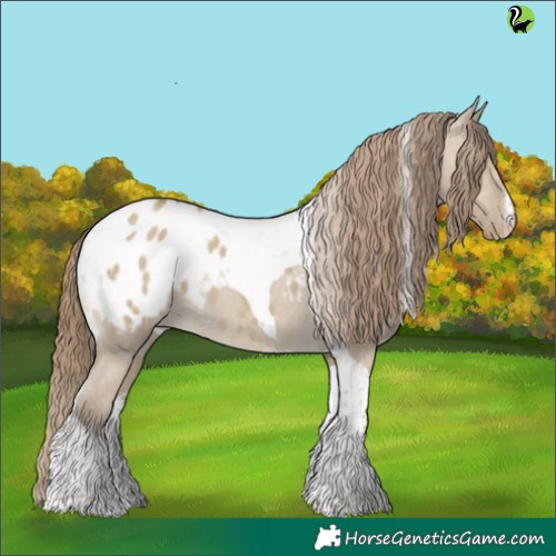 Horse Color:White Spotted Classic Cream Champagne Dun Tobiano Appaloosa 