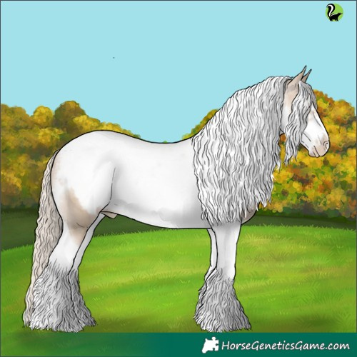 Horse Color:Chocolate Palomino Pearl Dun Tobiano Frame 