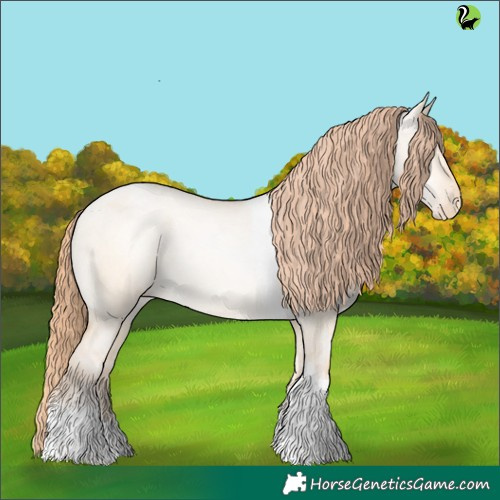 Horse Color:Buckskin Pearl Dun Tobiano Appaloosa 