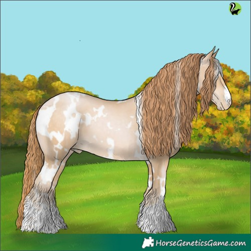 Horse Color:White Spotted Buckskin Pearl 