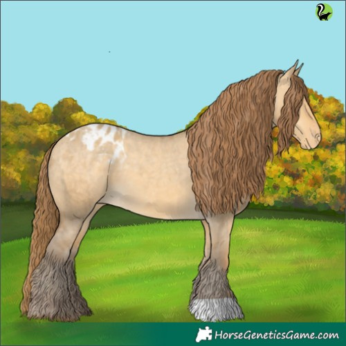 Horse Color:Sable Cream Champagne Dun Appaloosa 