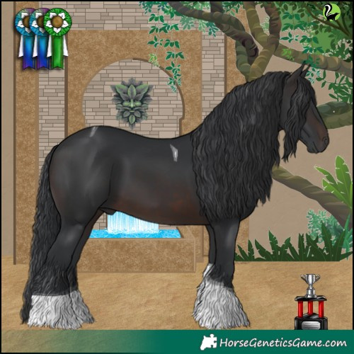 Horse Color:Brown Tobiano 