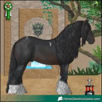 Horse Color:Brown Tobiano 