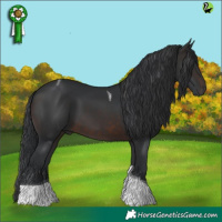 Horse Color:Brown Tobiano 