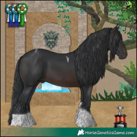 Horse Color:Brown Tobiano 
