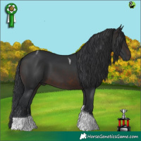 Horse Color:Brown Tobiano 