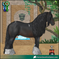 Horse Color:Brown Tobiano
