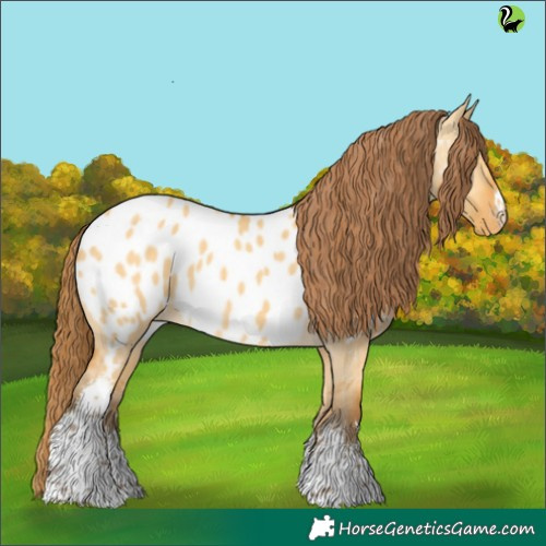Horse Color:White Spotted Sable Cream Champagne Dun Appaloosa 